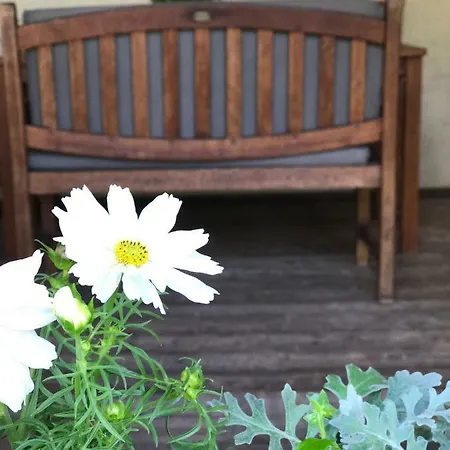 Unterdorfer Appartamento