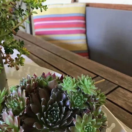 Apartmán Unterdorfer *